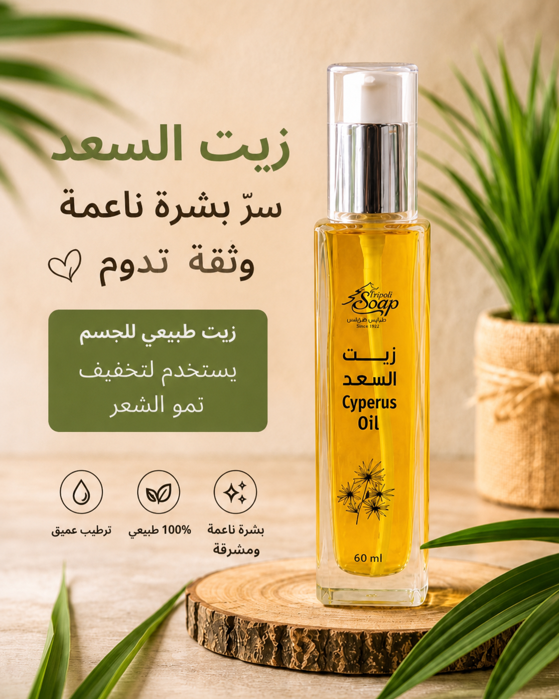 Cyperus Oil 60 ml benefits graphic